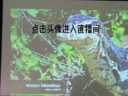 NEC带系统的福利机子来了#投影仪 #家庭影院#科技改变生活 #投影哥 #数码科技 #大屏幕 @投影哥 @抖音 @DOU+小助手