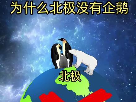 为什么北极没有企鹅#企鹅#北极#南极#探索地球#科普@DOU+上热门