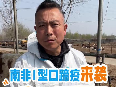 南非1型口蹄疫来袭,牛场消毒要重视! #育肥牛 #肉牛养殖 #牛口蹄疫 #牛口蹄疫防治 #科学养牛
