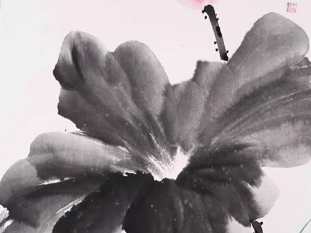 春有百花,夏有荷#国画荷花#国画教程#感受国画的意境#好看的花一定要分享给你#方阳普国画 零基础学画画