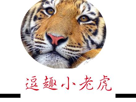 火柴人战争3:火雷射手搭配冰雹雪花,三元素搭配