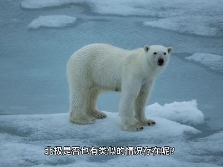 北极出现“时空之门”?NASA发现一神秘空间,航天器进入必须减速 #时空之门 #探索地球 #平行世界