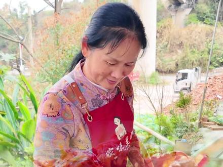 这个凉拌鸭子在我们这里的酒席经常能吃到,今天分享下自己的做法,简单又好吃,香香辣辣的,一点也不腻。#江西小炒 #凉拌鸭子 #江西老表有赣劲 #江西老表椒生罐养