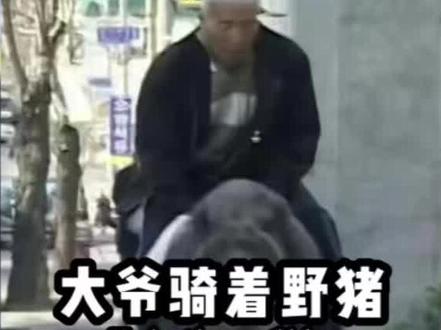 #大爷 骑着600斤的野猪去市场买菜#奇闻奇事 #奇闻异事 #万物皆有灵性 #纪录片 @DOU+小助手