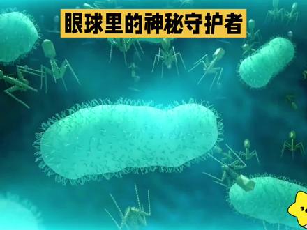 眼球里的神秘守护者——噬菌体