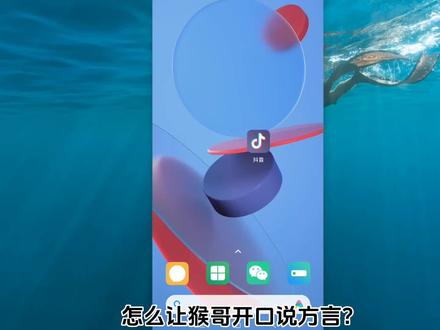 怎么让猴哥说方言 猴哥配音怎么说方言 视频变声 猴哥的声音讲粤语东北话 #视频变声 #视频配音 #抖音设置技巧