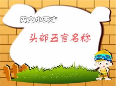 英语,头部五官名称