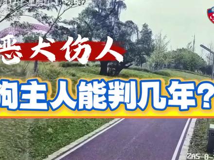 恶犬伤人,狗主人能判几年?#法院 #有期徒刑 #恶犬