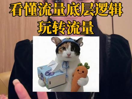 看懂“萝卜纸巾猫”,你也能玩转流量#萝卜纸巾猫 #蒸蚌 #自媒体 #流量 #流量扶持