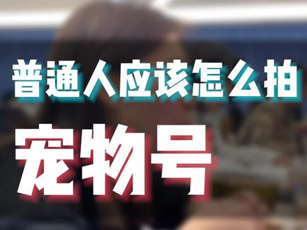 宠物类账号的3种思路,你们还有什么补充的嘛😊#短视频运营 #萌宠好物 #干货分享