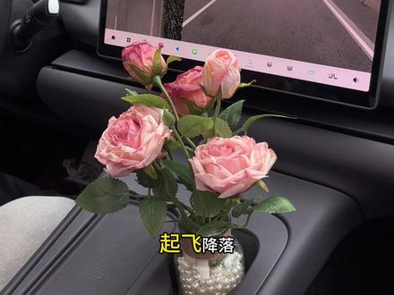 零跑用车攻略 #零跑#用车技巧#用车攻略 零跑零动空间,换挡提示音档位播报。