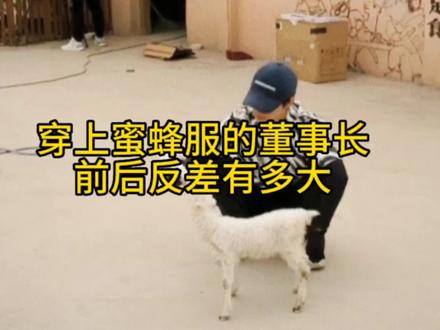 #十个勤天 #蒋敦豪#种地吧晴天 晴天:完了我爹变蜜蜂了