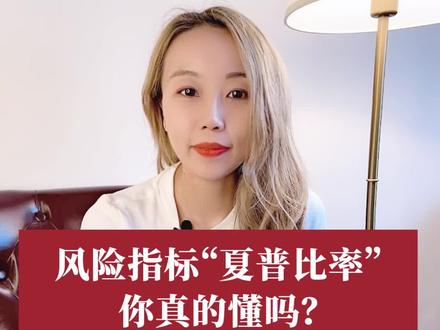 基金关键的风险指标“夏普比率”你千万别瞎用!这条视频给你讲透彻!#基金 #夏普比率 #最大回撤