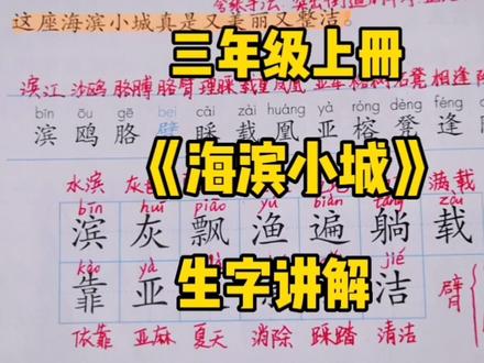 三上语文:《海滨小城》生字讲解,即使二十多个生字也能轻松掌握 #小学语文 #创作者扶持计划 #知识分享 #三年级上册