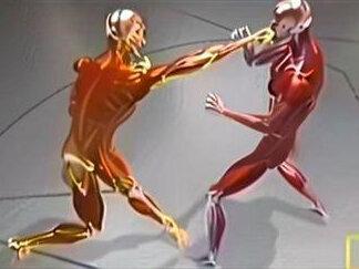 格斗中的动力链解析 如何掌握在格斗中发力流畅,一定要学会如何使用自己的身体完成动作,那么动力链的通畅是保证能量传递不泄漏的关键。#格斗ufc #动力链 #格斗中的动力将 #格斗训练