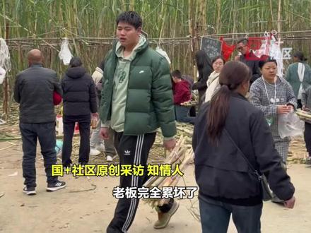 11月22日,四川眉山。真人版“偷甘蔗”火了,有NPC、有狗撵,享受被追的刺激。知情人:昨晚现场有1万人,老板找了四十多名NPC,砍甘蔗的镰刀已不够用。