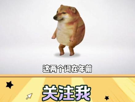 “我的刀盾”、“比比拉布”的梗解读#我的刀盾 #比比拉布 #刀盾狗 #梗 #猫meme