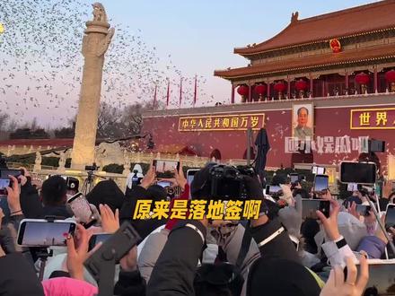原来落地签是旅游攻略啊#万万没想到 #落地签 #旅游