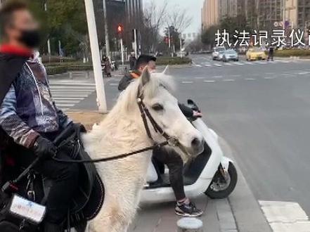 马路非“马”路 市区道路骑马行不行?
