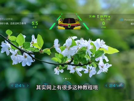 迪+和迪粉辅助工具都需要打开的USB调试和无线adb是如何打开的?#比亚迪 #迪粉辅助工具 #迪加 #USB调试 #无线adb