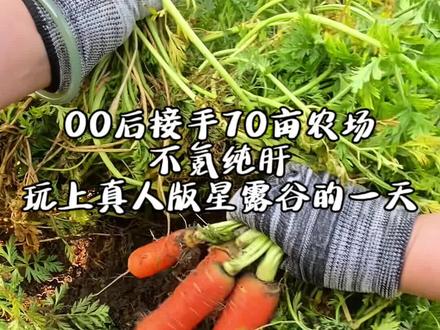 竟然真让我网到鱼了,老乡们我要走上致富路了吗#回村后的生活vlog #创作者中心 #创作灵感 #00后 #真人版星露谷