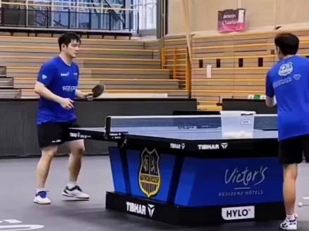 这样别人还怎么打?#神级live现场 #樊振东 #每个动作都是用汗水换来的 #乒乓球