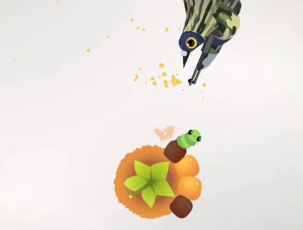 😋#卡点#疯狂的鸽子#pigeonpop