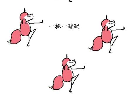 呆呆成名曲,我不行了我要笑死了