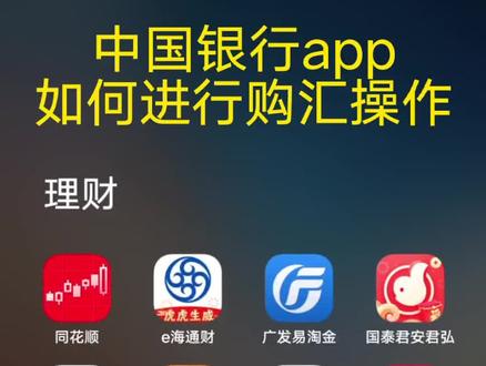 中国银行如何进行购汇结汇兑换操作,手把手教学