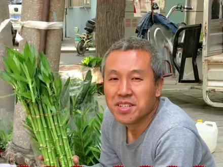 做好这5点富贵竹也能养的枝繁叶茂
#花卉绿植 #养花 #盆栽 #养花小知识 #富贵竹