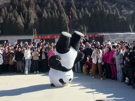 昨天发的浏览量获得了官方奖励,今天再来一个,欧耶✌️#绿菜地熊熊 #人间烟火 #绿菜地