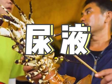 大青龙鲜美的秘密是什么?你绝对猜不到!#科普 #三农小知识 #乡聚向未来 @抖音青少年