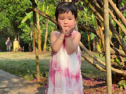 来了一趟植物园,不得不说真的太出片太美啦!#甜丽幸福一家人 #放飞心情拥抱大自然