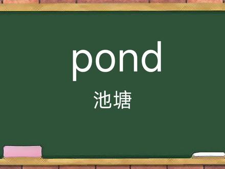 趣记单词:pond 池塘【谐音:胖的】#单词速记 #巧记单词 #趣味英语 #当英语注入灵魂 #谐音英语