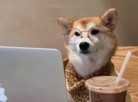 小火人也太好玩了#多闪APP #AI精灵