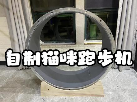 几十块自制猫咪跑步机,最容易实现的猫咪跑步机,是个人都能做基本都是买的现成材料组装#手工 #变废为宝 #宠物猫