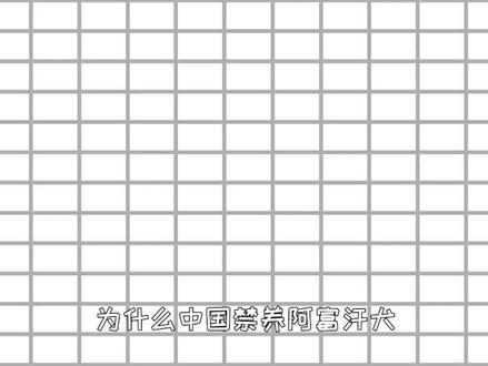 为什么阿富汗犬国内禁养?知道真相后,再也不想养了! #涨知识 #冷知识 #阿富汗犬 #阿富汗猎犬#科普