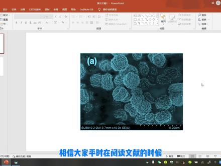 10秒学会用PPT给电镜图上色!#科研绘图 #科研配色 #SCI论文 #论文 #PPT #科研 #学术 #研究生