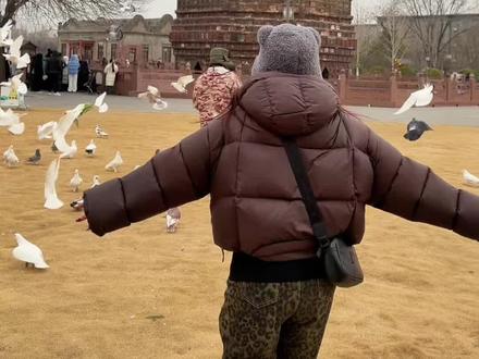 果然我对开封的了解只有0.0001% 开封真好玩我爱开封!!
#在开封打卡到了北宋禅意春节 #春节福气好去处 #中原的年味回来了 #五灵寻禅 #开封铁塔