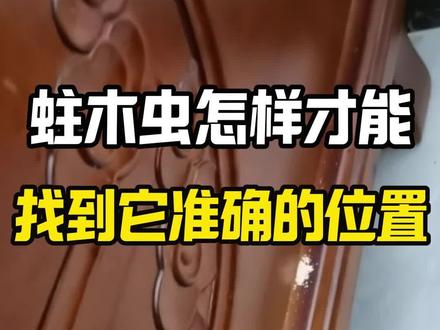 蛀木虫怎么消灭 蛀木虫怎样才能找到它准确的位置?实木床每天晚上发出咯吱咯吱的声,说明有蛀木虫了,很大的虫咬声确实非常惹人心烦还严重影响睡眠,想要找到蛀木虫,可以先听声辨位是关键,在晚上安静时听声音的来源,并在最大声处画圈做记号,再观察木床表面是否有细小孔洞,孔洞周围是否有掉木粉细渣堆积,还可以用木棒敲一敲发声处,空响的位置就是虫窝,蛀木虫怎么消灭#蛀木虫 #蛀木虫怎么消灭 #蛀木虫杀虫剂 #床有虫子咬木头的声音怎么杀 #蛀木虫啃木头的声音很大怎么办