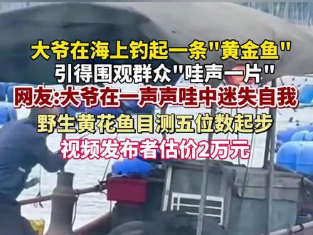 大爷在海上钓起一条“黄金鱼”,引得围观群众“哇声一片” 网友:大爷在一声声哇中迷失自我,视频发布者估算价值2万元#钓鱼佬永不空军 #野生黄鱼 #钓鱼的乐趣只有钓鱼人懂