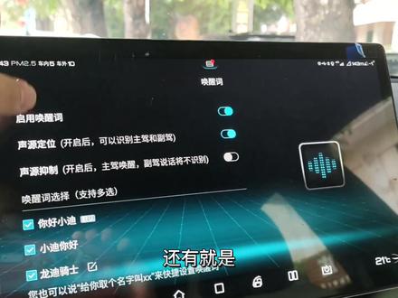 个性唤醒词是怎么设置的?新车主、准车主可以看一下。#比亚迪 #比亚迪宋plusdmi