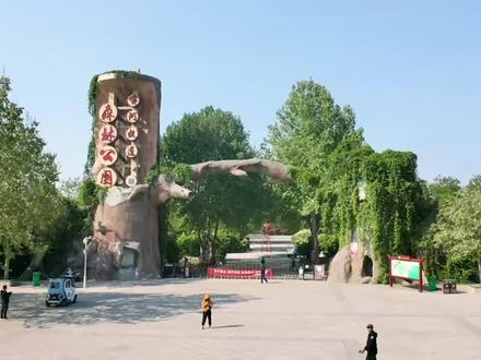 黄河故道森林公园#无人机航拍