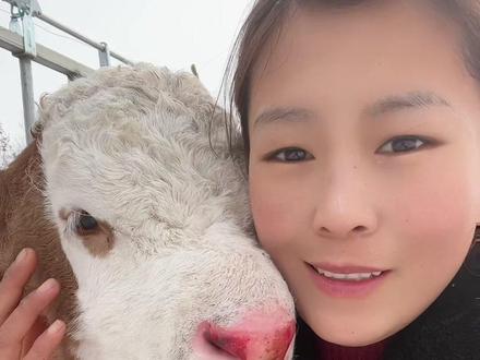 按照我家传统每个刚出生小牛都会被妈妈放外边住一晚上,紧接着小牛就认识自己家了,酒红孩都出生三天了竟然还没有被领走呢,难道它是为了在家陪我吗#农村养牛人记录农村生活 #每天都记录我的农村真实生活日常 #现场实拍 #原创视频