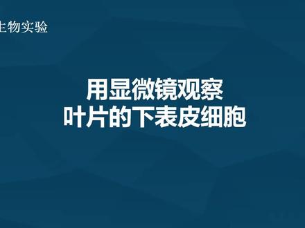 用显微镜观察叶片的下表皮细胞#中考实验