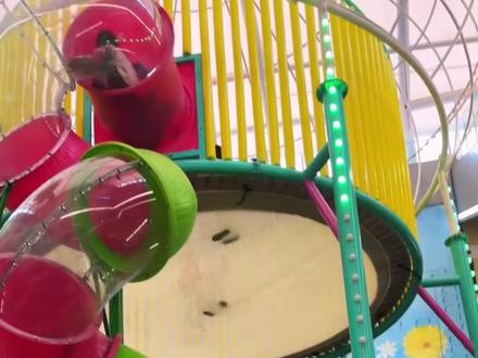 这些危险的地方你都知道吗?#危险区域 #安全 #科普 #涨知识