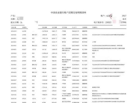 农业工资银行流水怎么办理是要网银版还是柜台打印版看您的要求来 #上热门 #工资流水#银行流水#签证流水#签证流水怎么做 #工资流水