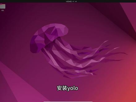 目标识别方法安装yolo