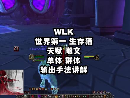 魔兽世界巫妖王之怒WLK 3.35 生存猎 天赋雕文单体群体手法教学 #魔兽世界 #怀旧服生存