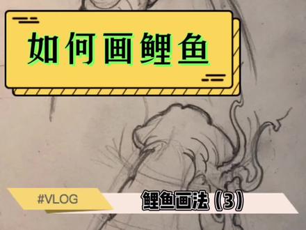 和朋友们分享我画传统鲤鱼,对鲤鱼鱼头的理解(第三段)#绘画过程 #纹身手稿 #纹身教学